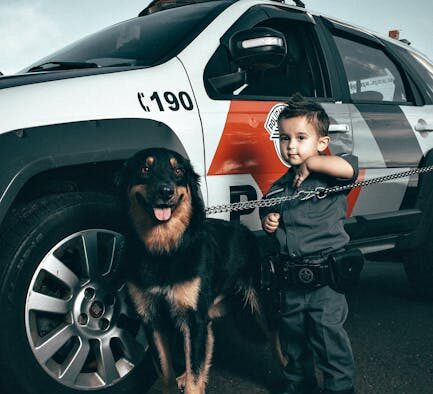 Aspiration pneumonia pets