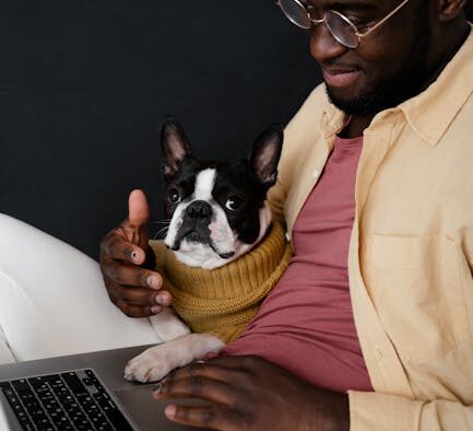 Dog vaccination strategies for busy owners staying consistent