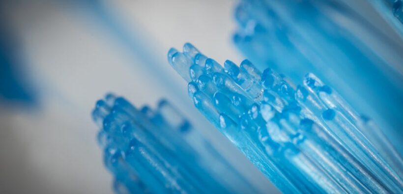 Dental care basics for dogs brushing monitoring and routine checks