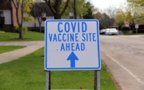 Preventive immunity support for puppies general guidance