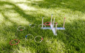 Toy rewards versus food rewards for dogs