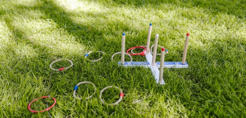 Toy rewards versus food rewards for dogs