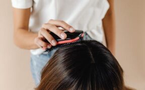 Why Regular Brushing Supports Coat Health