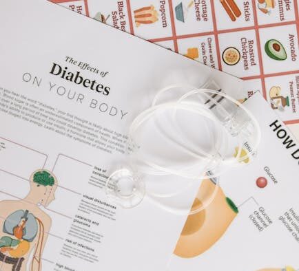 Senior cat nutrition basics and how to maintain body condition