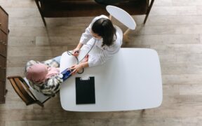 Cat heart disease signs risk factors and monitoring