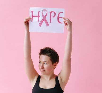 Cat itchy belly hair loss symptoms and possible causes