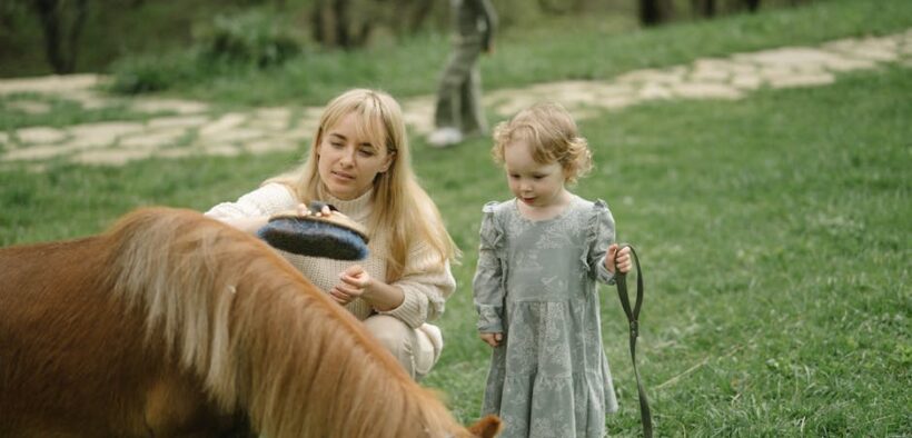 Learning Your Pet’s Grooming Preferences