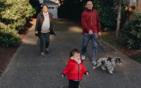 Dog abnormal walking gait reasons and vet evaluation