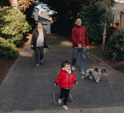 Dog abnormal walking gait reasons and vet evaluation