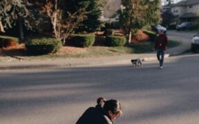 Pet Oral Care for Multi Pet Homes