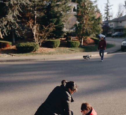 Routine preventive care for cats in urban homes