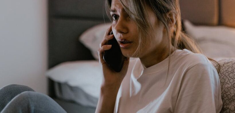 Transitional anxiety in rescue dogs