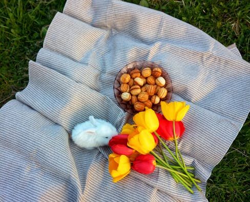 Almonds toxicity pets