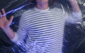 Environmental anxiety in cats