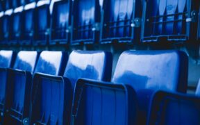 Cats reacting at public events