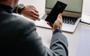 Time Efficient Grooming for Busy Owners