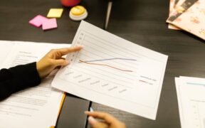 Planning a basic training week for your cat