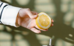 Vaccinating kittens during seasonal risks essential info