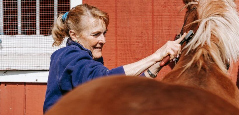 Preventive brushing routine for cats daily coat maintenance