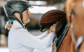 Grooming After Outdoor Activities