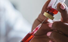 Vaccination preparation for reactive or fearful dogs