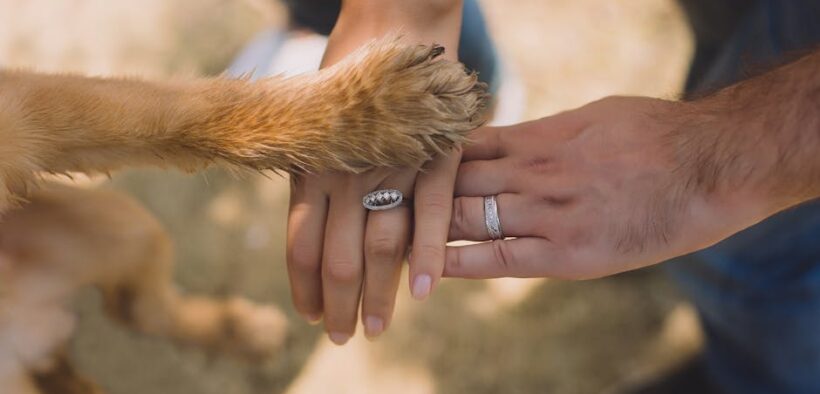 Supplements for dog diarrhea support