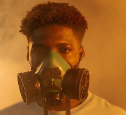 Preventing respiratory issues in cats cleanliness and air quality