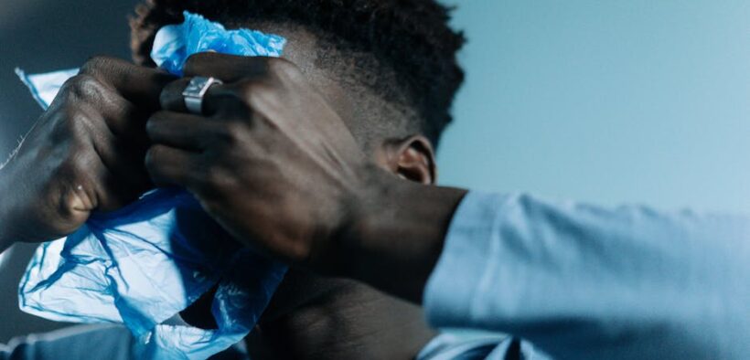 Using routines to reduce anxiety in pets