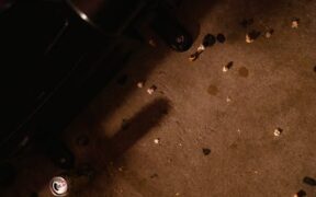 Trash eating in dogs and digestive upset symptoms