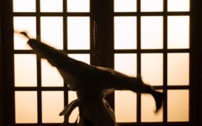 Stay near the front door training