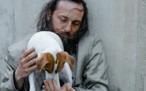 Dental care awareness for small dog breeds