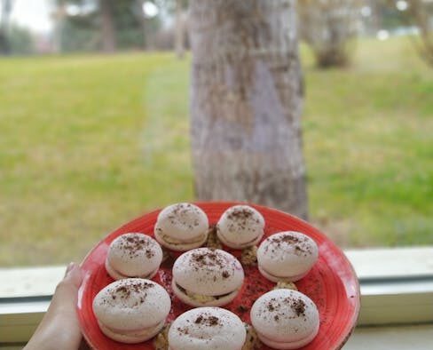 Sugar free foods toxic dogs