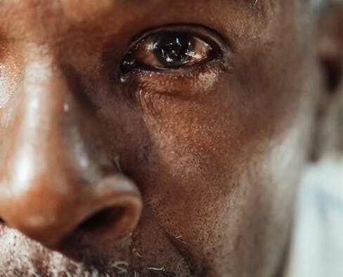 Separation anxiety in cats basics