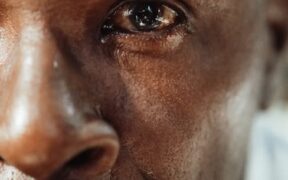 Anxiety in maturing dogs