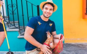 Retraining house soiling in adult dogs