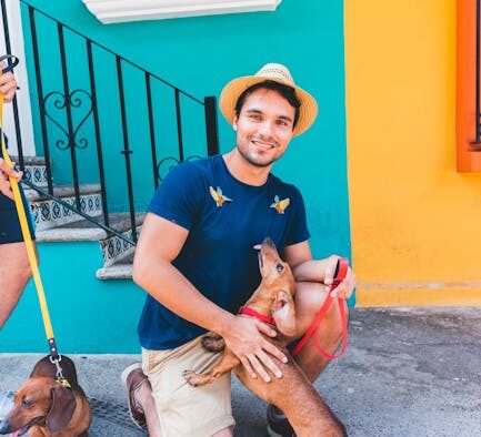 Retraining house soiling in adult dogs