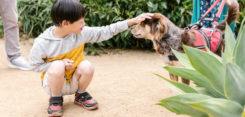 Preventive care for pets with special needs long term support