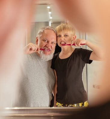 Dental care routines for senior pets