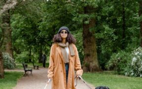 Dog arthritis signs causes and quality of life guidance