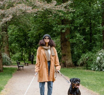 Dog arthritis signs causes and quality of life guidance