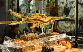 Cooked bones toxicity pets