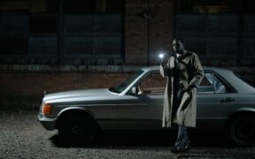 Dogs reacting with tension to car honks