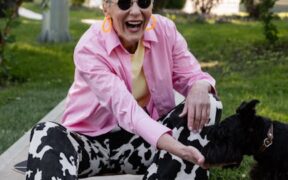 Feeding guide for senior dogs with no teeth