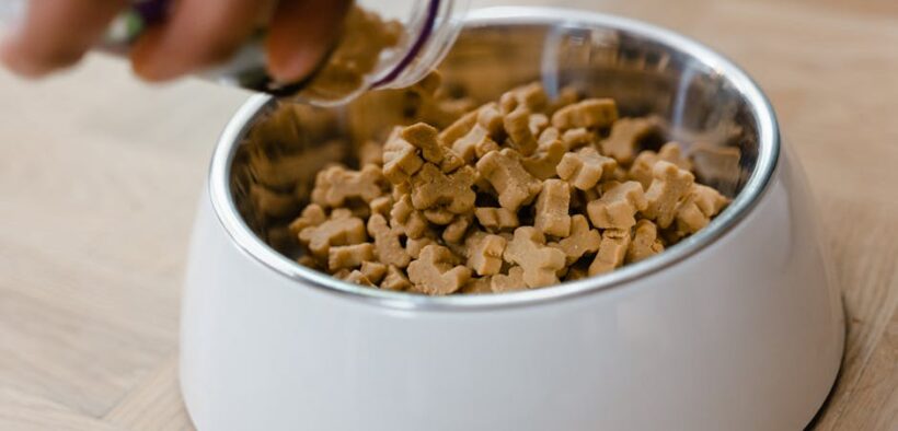 Feeding guide for portion control dogs