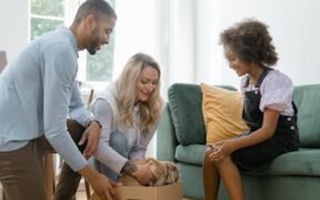 Indoor cat vaccination guide for new pet parents