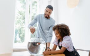 Pet Dental Care Education for Families