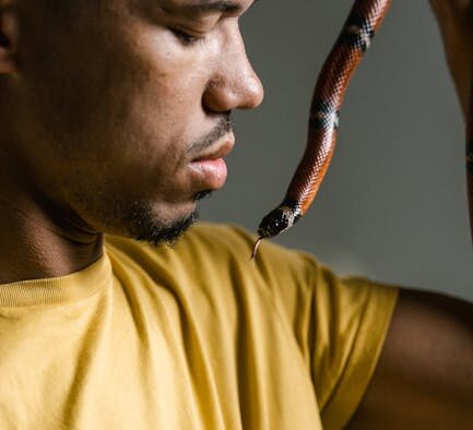 Fatty foods dangerous to pets