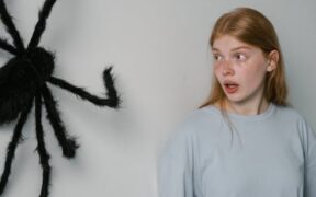 Fearful reactions in anxious cats