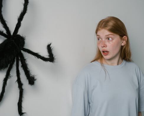 Fearful reactions in anxious cats