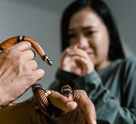 Allergic breathing reaction pets